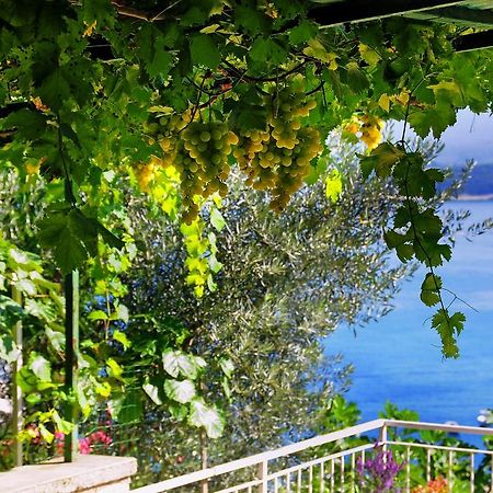 Apartment Nadija Rabac Εξωτερικό φωτογραφία